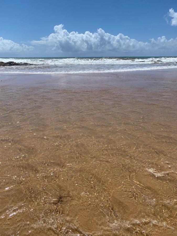 Bahia Temporada Imbassai